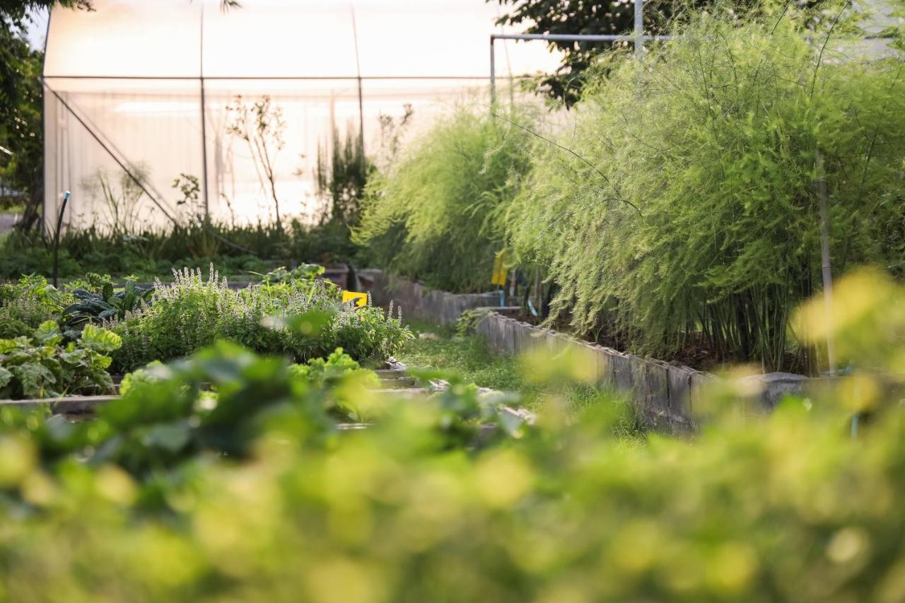 Green Me Organic Farm Stay Khaoyai Ban Khlong Yang Exterior photo